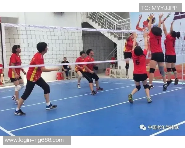 广州排球队耐力研究:提升竞技水平的关键因素分析与探讨 广州排球队耐力研究:提升竞技水平的关键因素分析与探讨